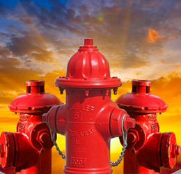 5��Σ����Ϊ����������ͥ����